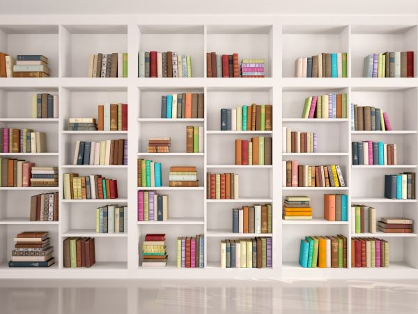 Bookshelf Assembly in Sherman